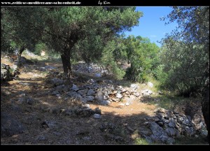 Wanderung durch die Olivenhaine